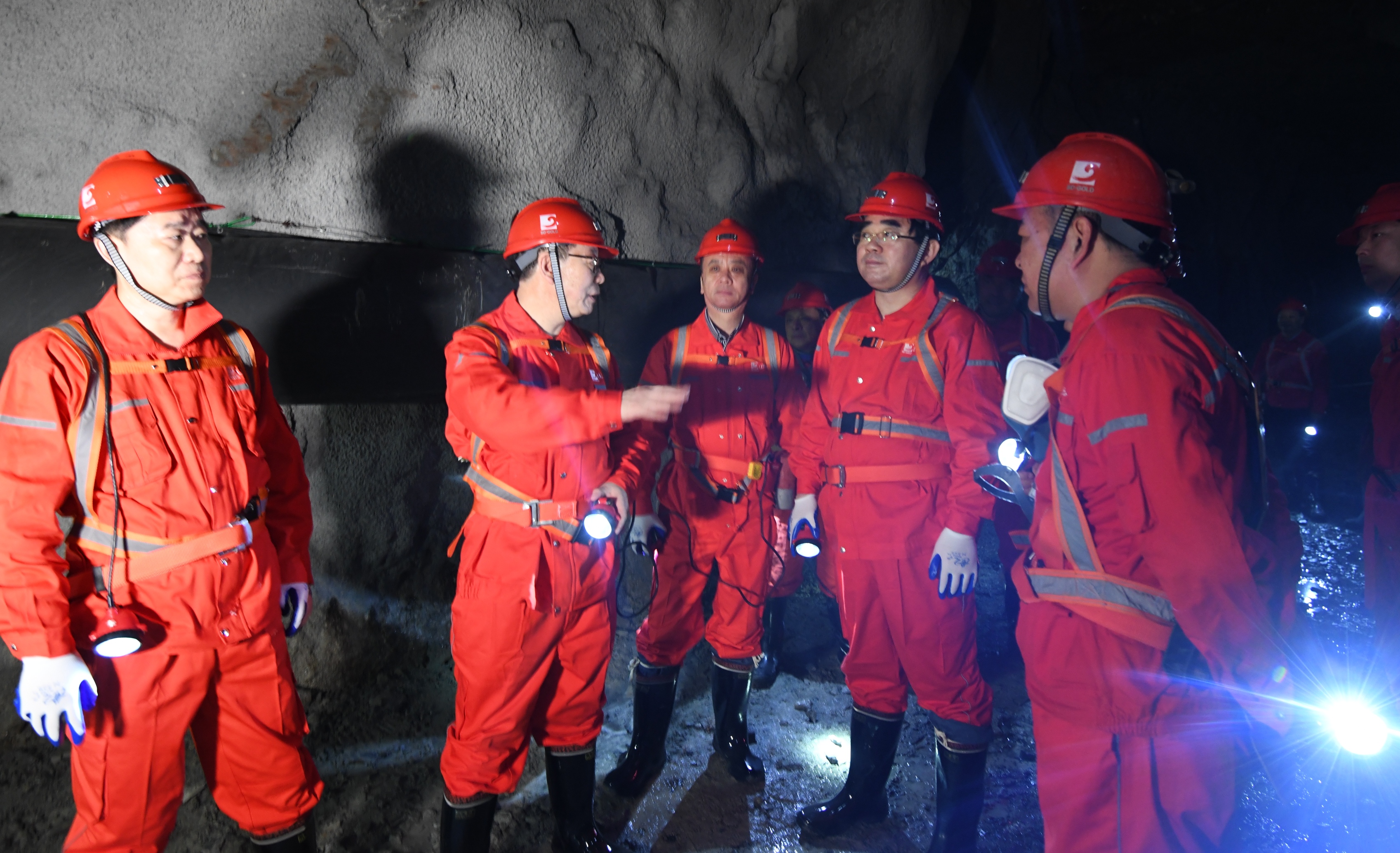 �й�����������(304am-VIP��֤)����-Official Platform