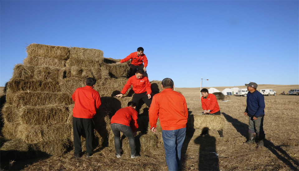 �й�����������(304am-VIP��֤)����-Official Platform