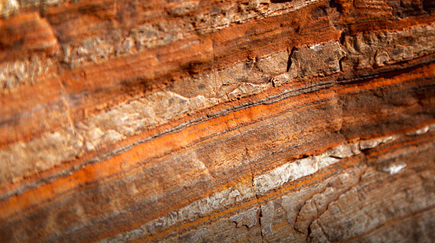 й(304am-VIP֤)-Official Platform