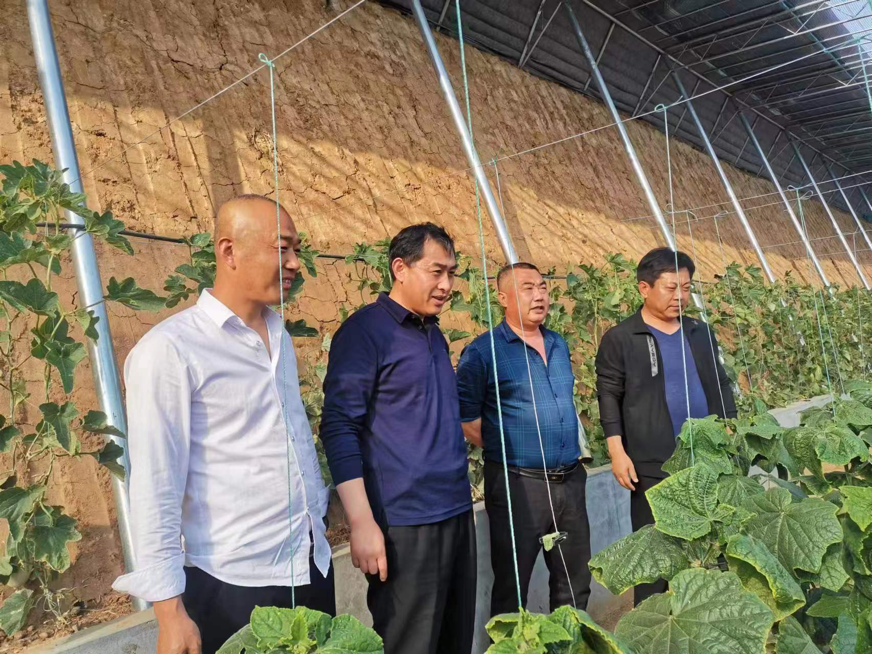 �й�����������(304am-VIP��֤)����-Official Platform