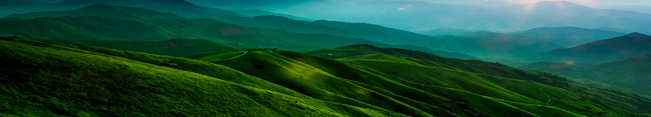 й(304am-VIP֤)-Official Platform